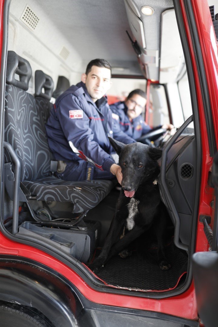 Kayalıklarda mahsur kalan köpeğin yardımına itfaiye ekipleri yetişti
