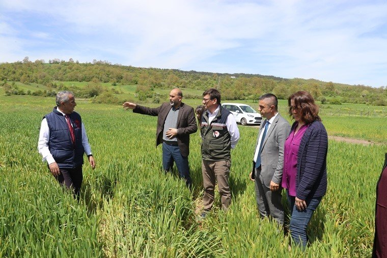 Tarım arazilerinde taban patlatmasının önemi