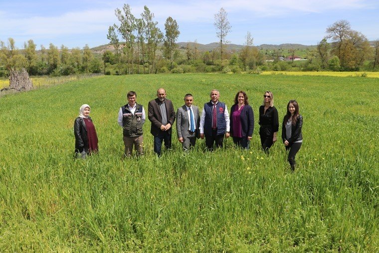 Tarım arazilerinde taban patlatmasının önemi