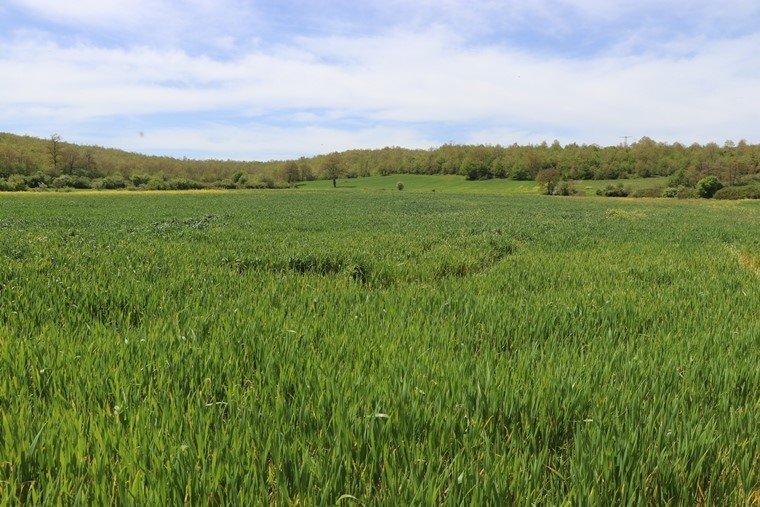 Tarım arazilerinde taban patlatmasının önemi