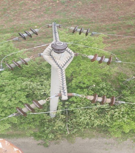 SEDAŞ, leyleklerin güvenli göç yolculuğu için önlemlerini aldı