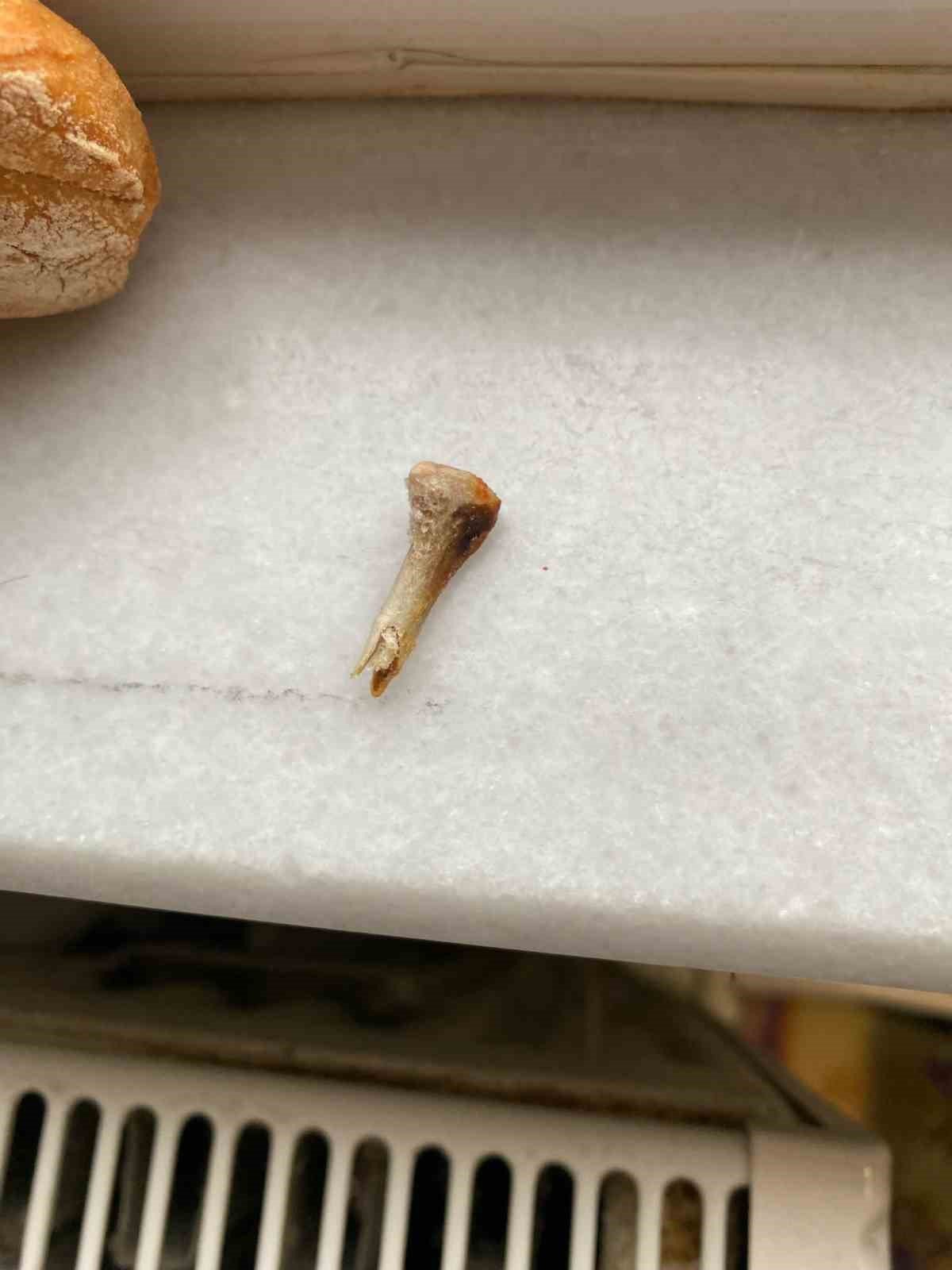 Ekmekten kemik çıktı, savunması pes dedirtti