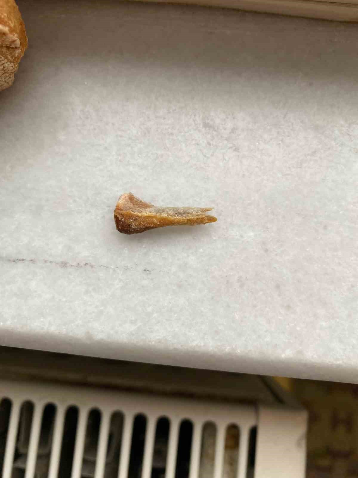 Ekmekten kemik çıktı, savunması pes dedirtti