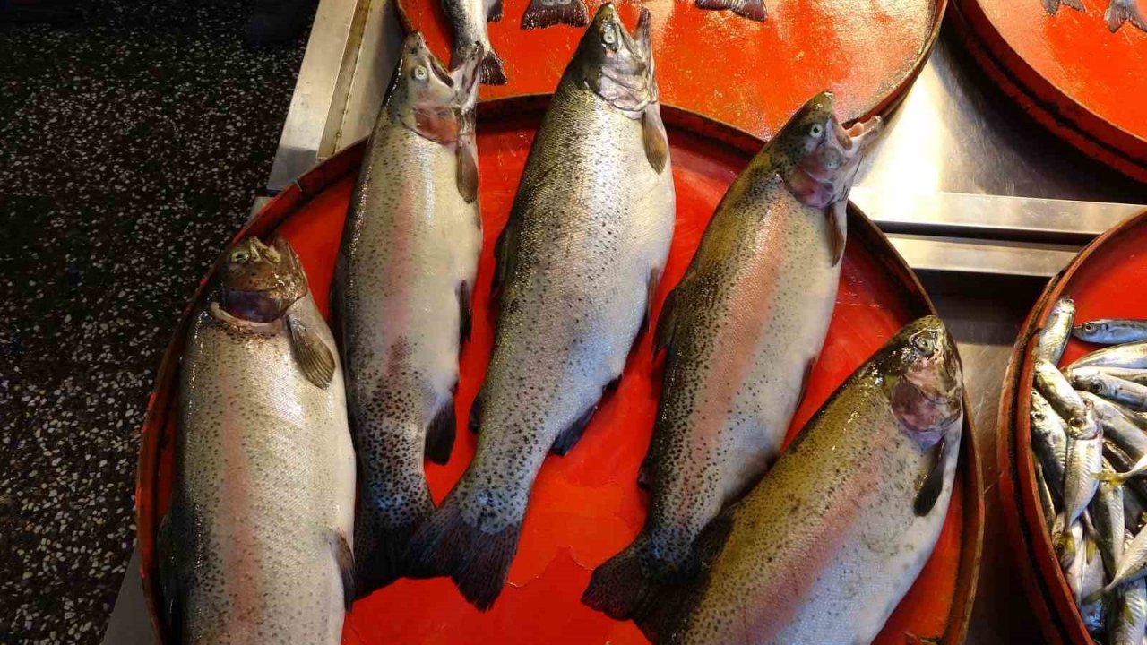 Kıyı balıkçıları da umut olmadı