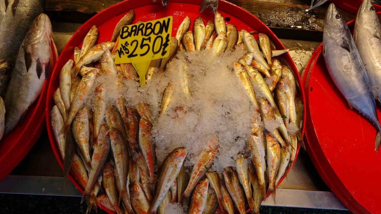 Kıyı balıkçıları da umut olmadı