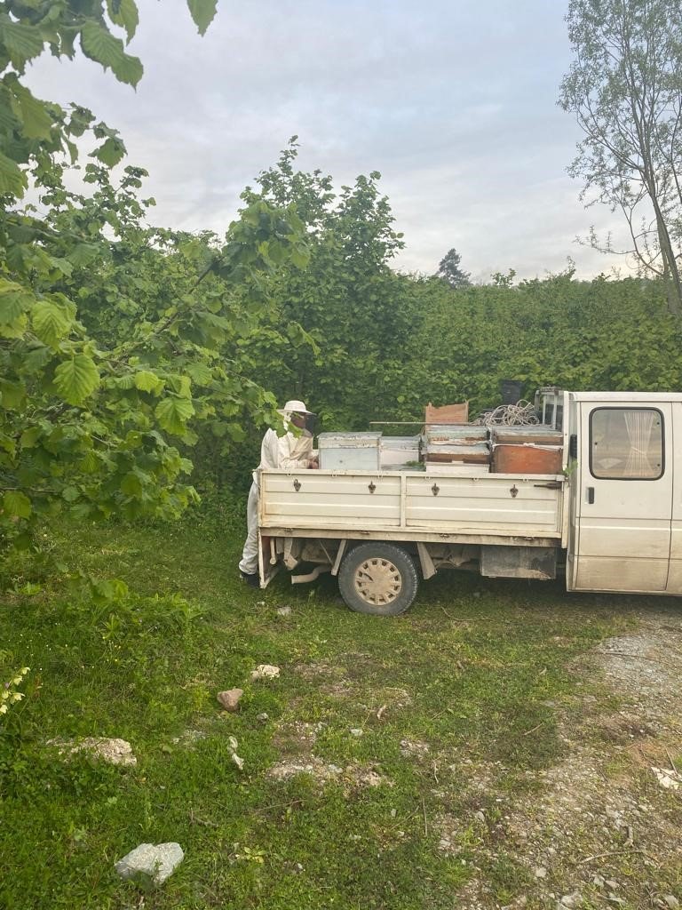 34 arı kovanını çalan hırsızlar kıskıvrak yakalandı