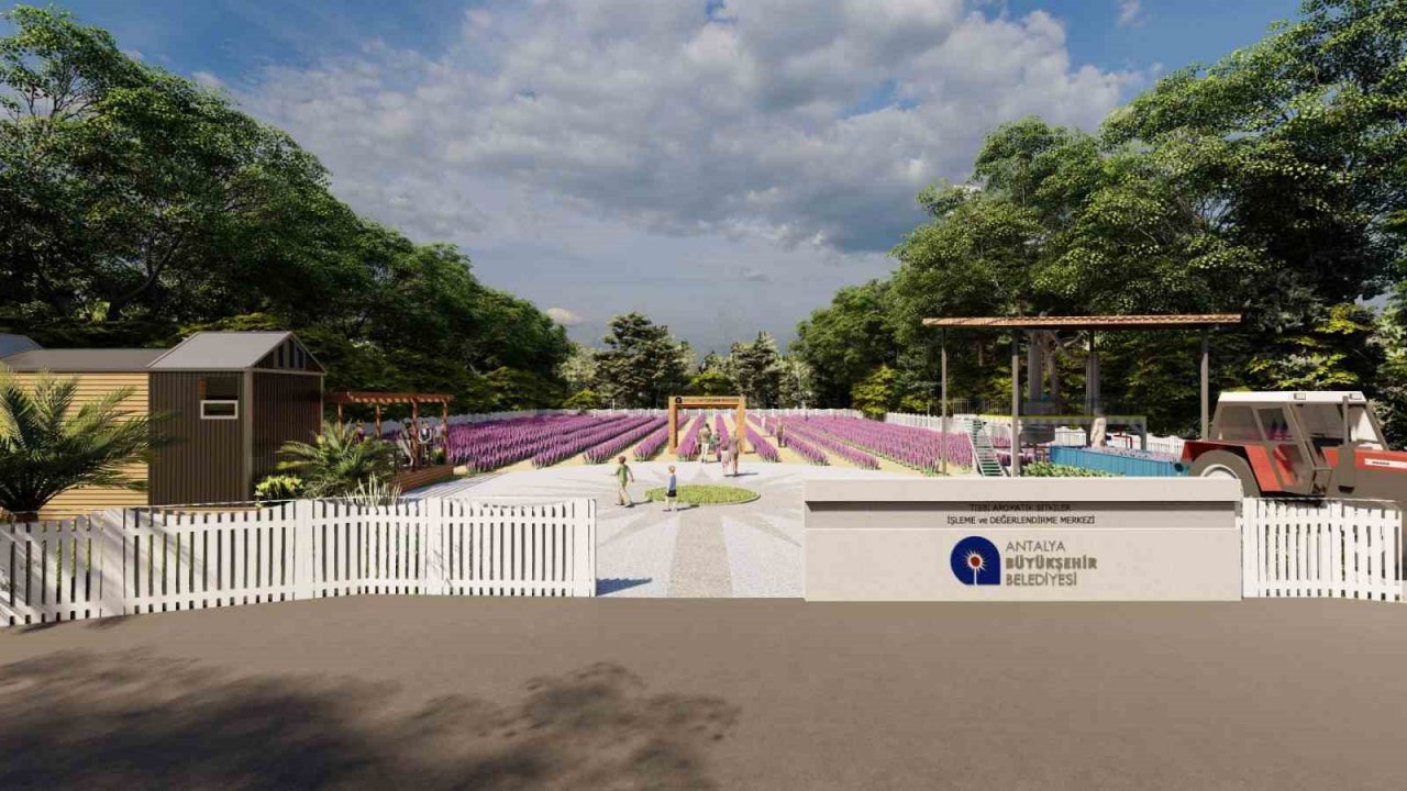 Tıbbi aromatik bitkiler işlenip değerlendirilecek