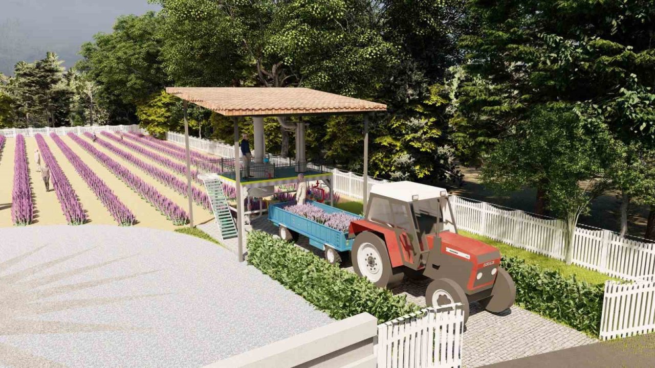 Tıbbi aromatik bitkiler işlenip değerlendirilecek