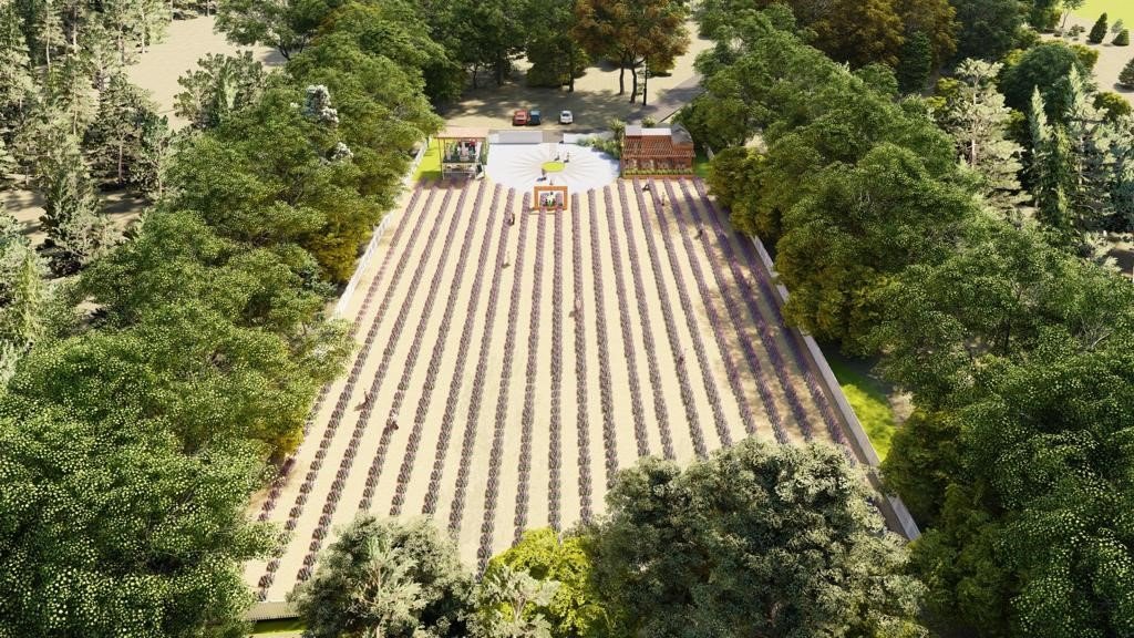 Tıbbi aromatik bitkiler işlenip değerlendirilecek