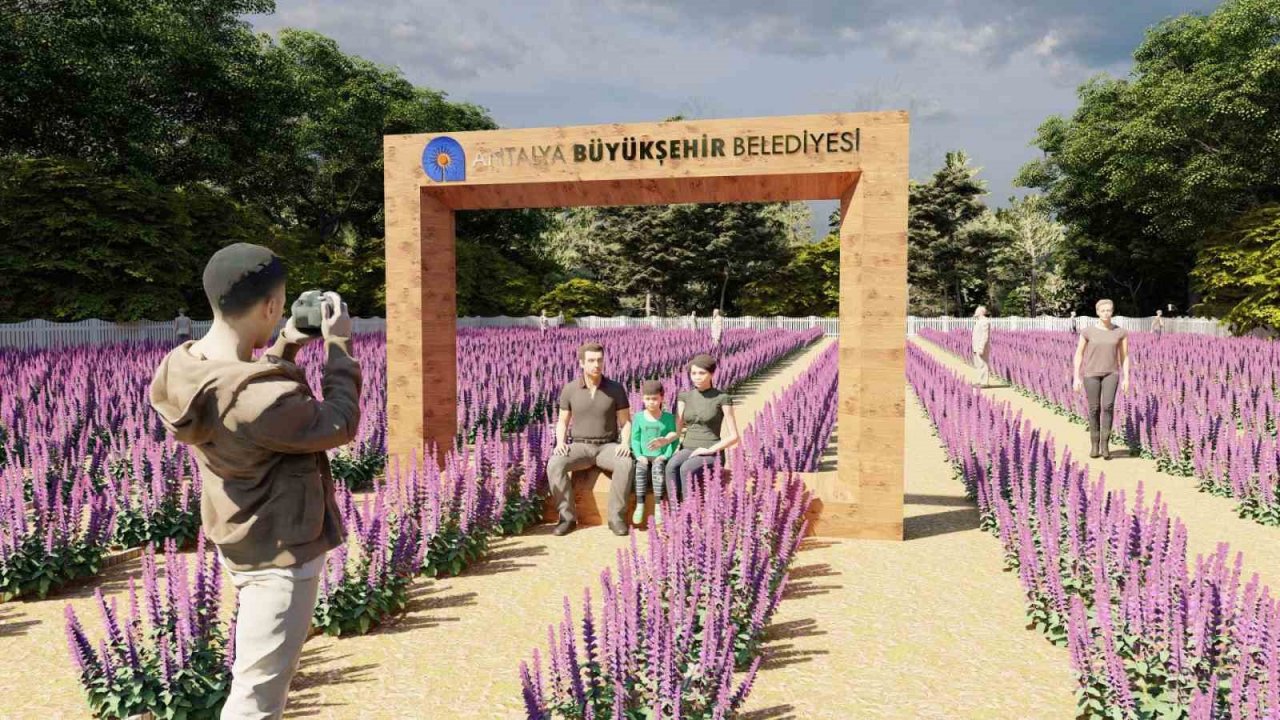 Tıbbi aromatik bitkiler işlenip değerlendirilecek