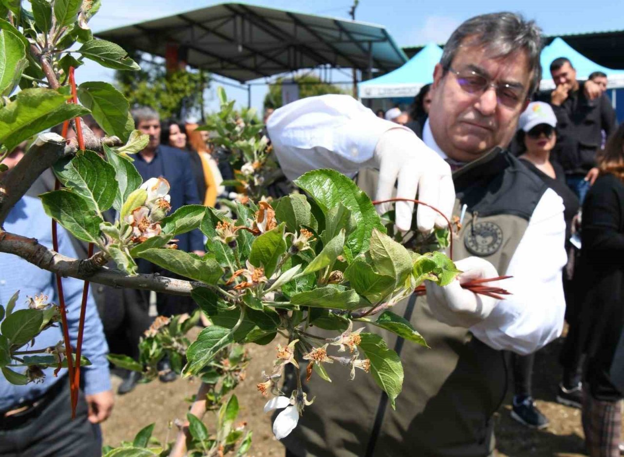 Lapseki’de Tarla Günü programı gerçekleşti