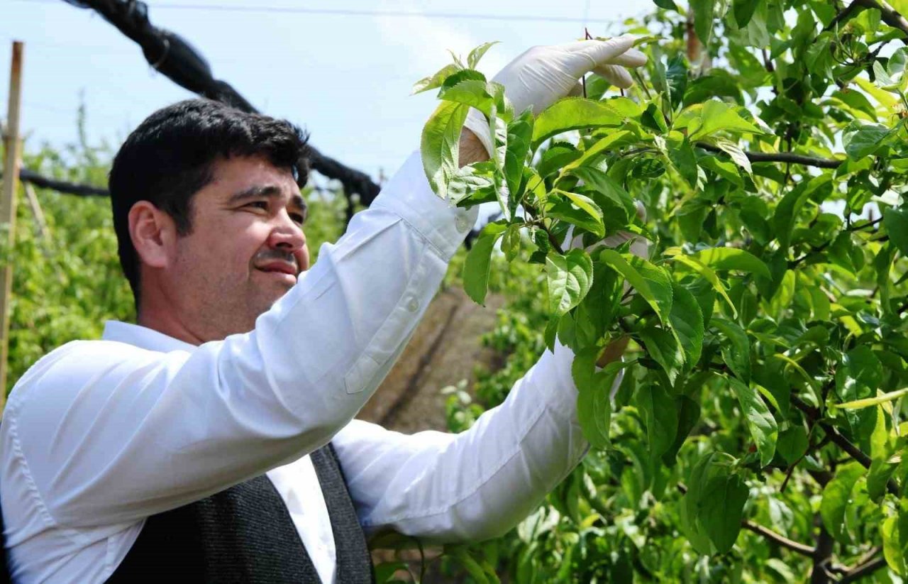 Lapseki’de Tarla Günü programı gerçekleşti