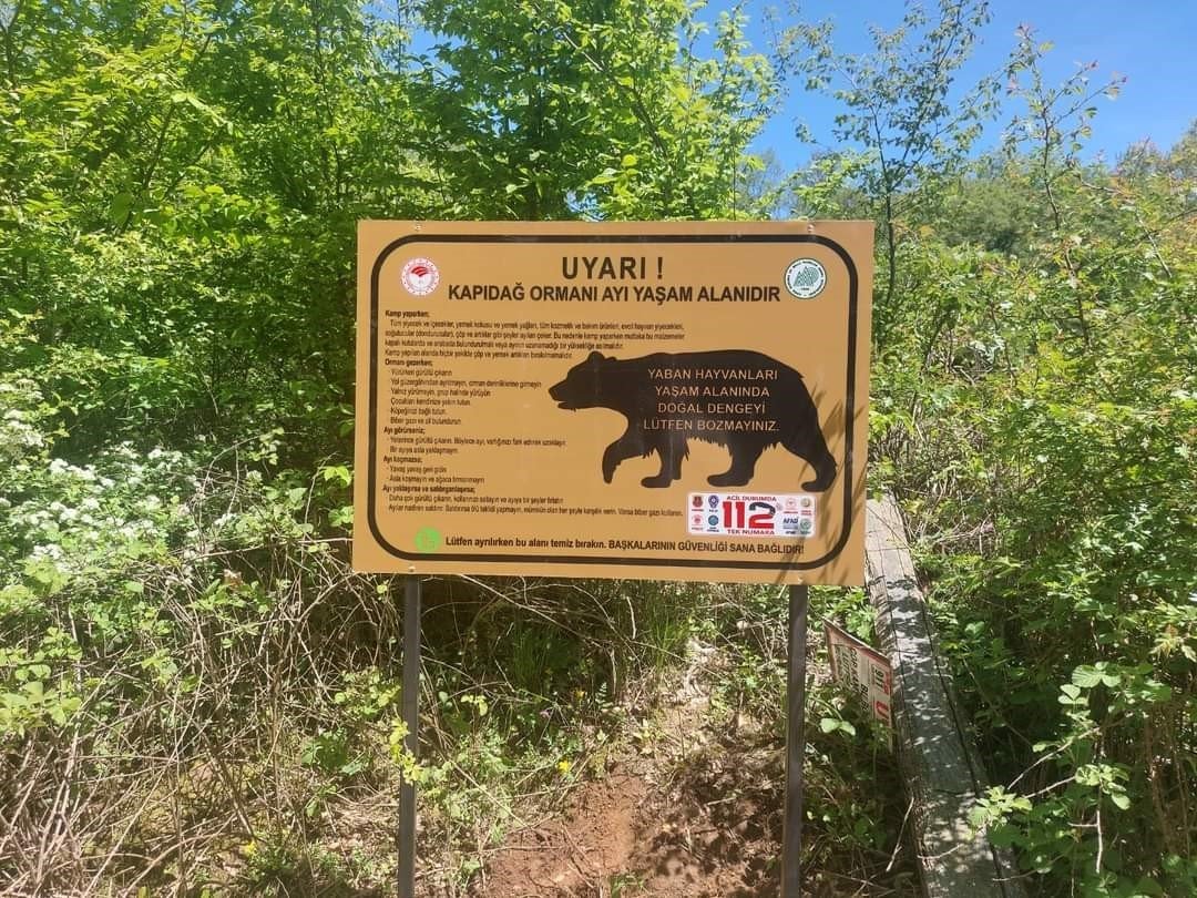 Ayı uyarısı levhalara taşındı