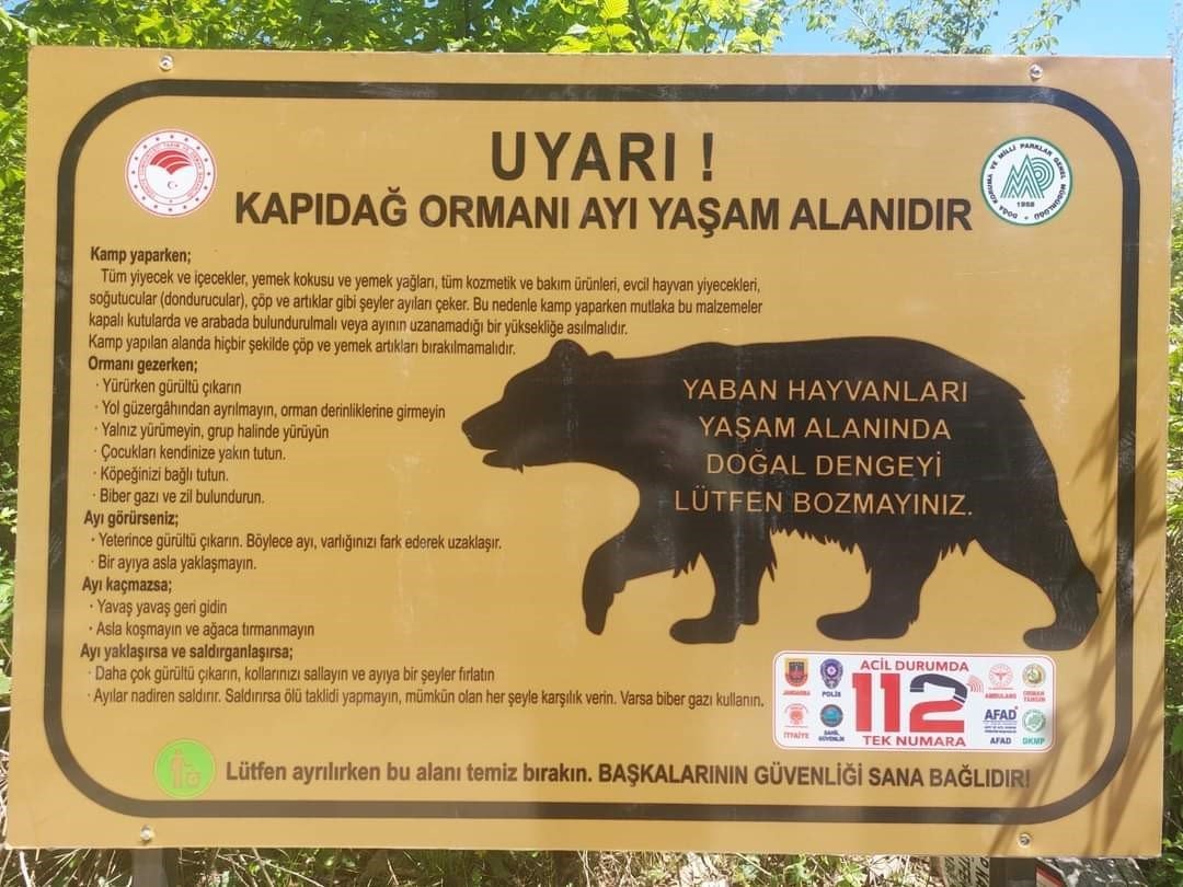 Ayı uyarısı levhalara taşındı