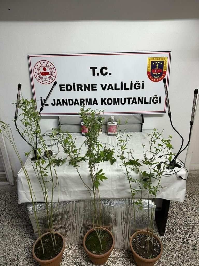 Edirne jandarması kaçakçılığa geçit vermiyor