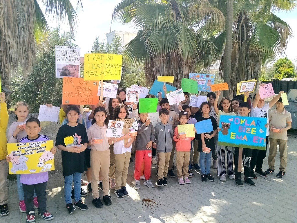 İlkokul öğrencilerinden sokak hayvanlarına mama projesi