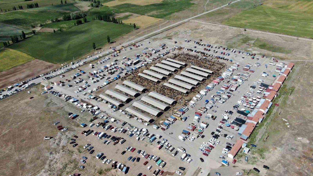 Türkiye’nin en büyük hayvan pazarı yeniden açılıyor