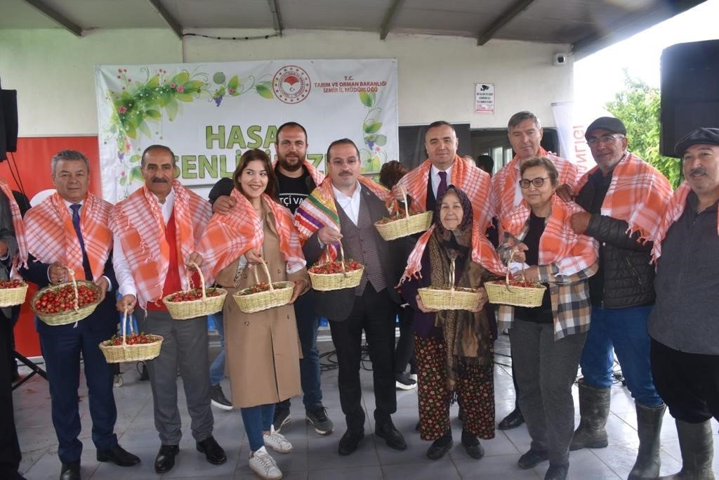 İzmir Kemalpaşa’da yılın ilk kiraz hasadı yapıldı