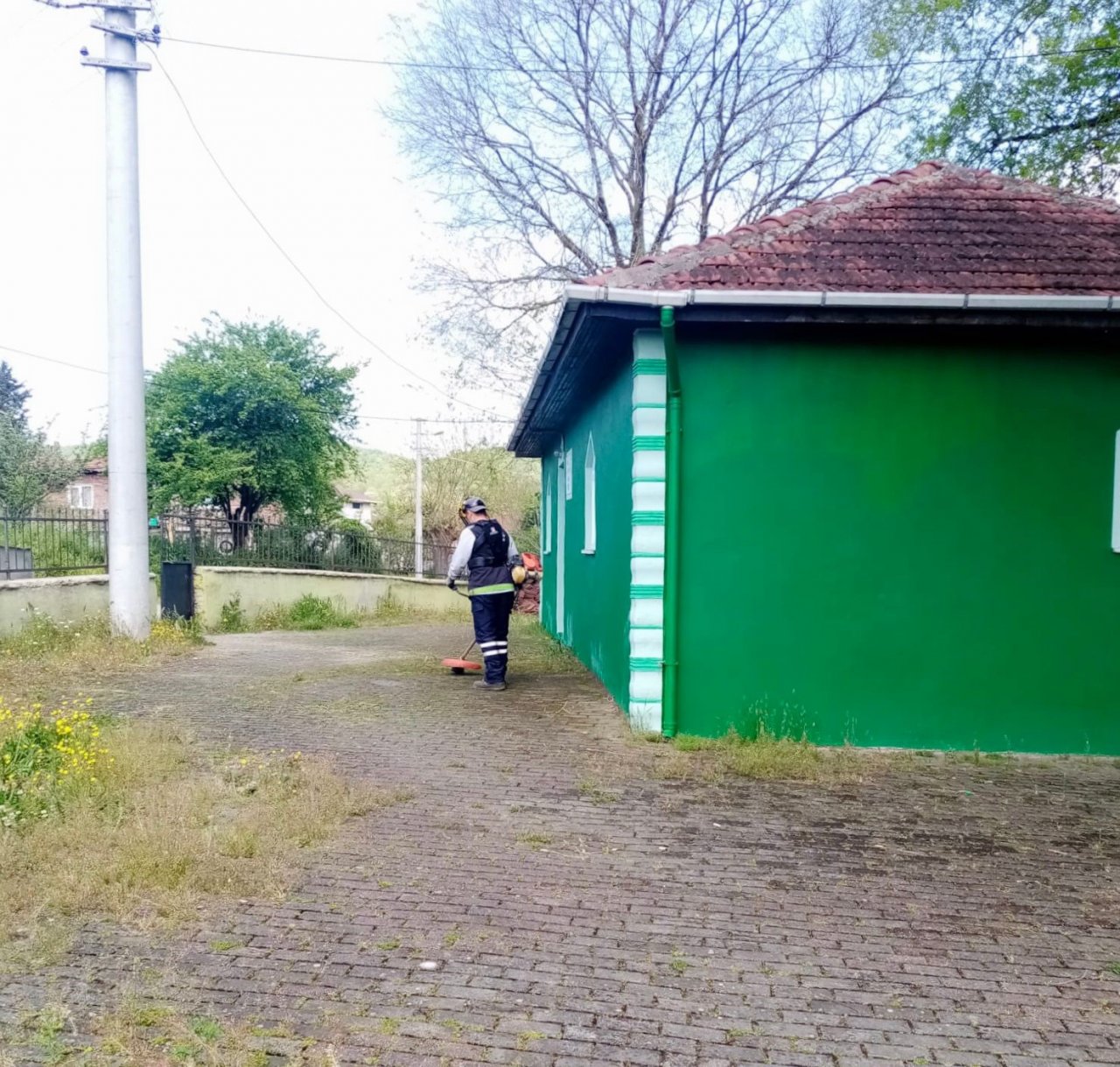 Körfez’de yabani ot biçme çalışmaları sürüyor