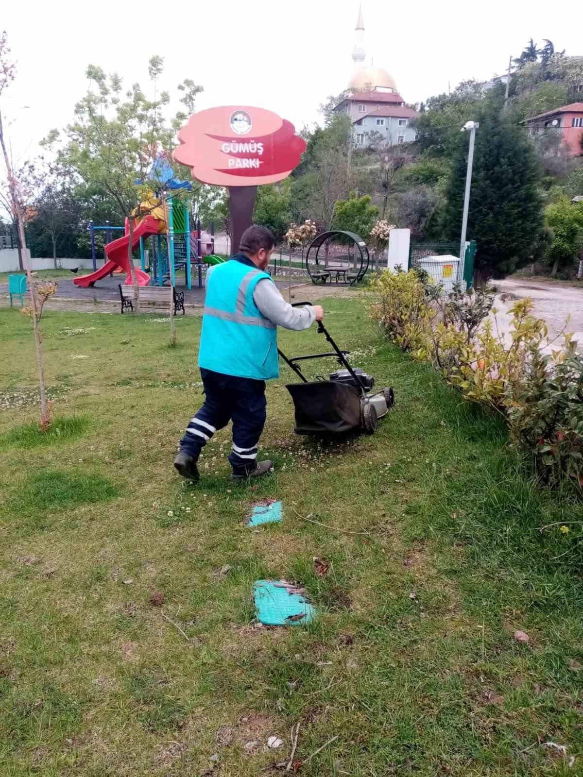 Körfez’de yabani ot biçme çalışmaları sürüyor