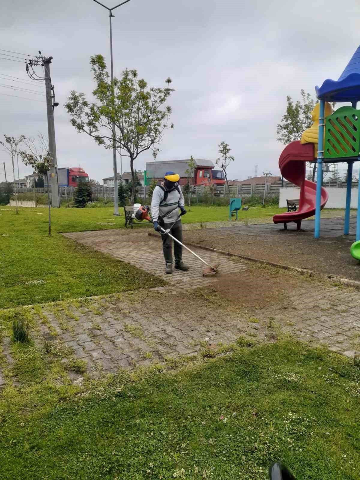 Körfez’de yabani ot biçme çalışmaları sürüyor