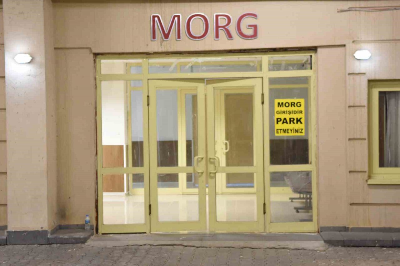 Park halindeki römorka çarpan otomobilin sürücüsü hayatını kaybetti