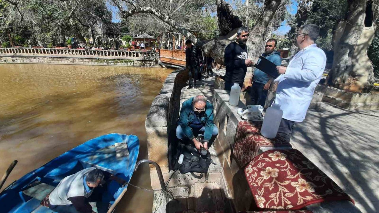 Elazığ Su Ürünleri Araştırma Enstitüsü, Balıklıgöl’de inceleme yaptı