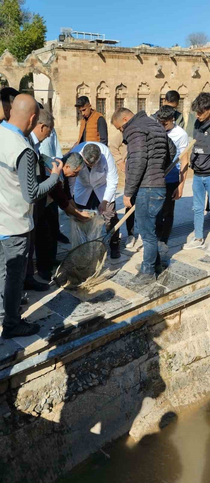 Elazığ Su Ürünleri Araştırma Enstitüsü, Balıklıgöl’de inceleme yaptı