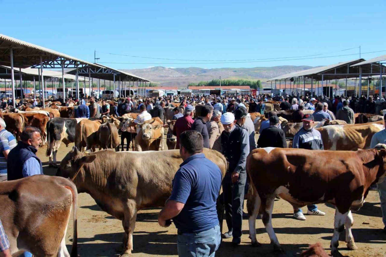 Türkiye’nin en büyük hayvan pazarı yeniden açılıyor