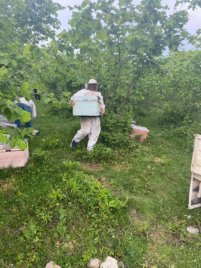 34 arı kovanını çalan hırsızlar kıskıvrak yakalandı