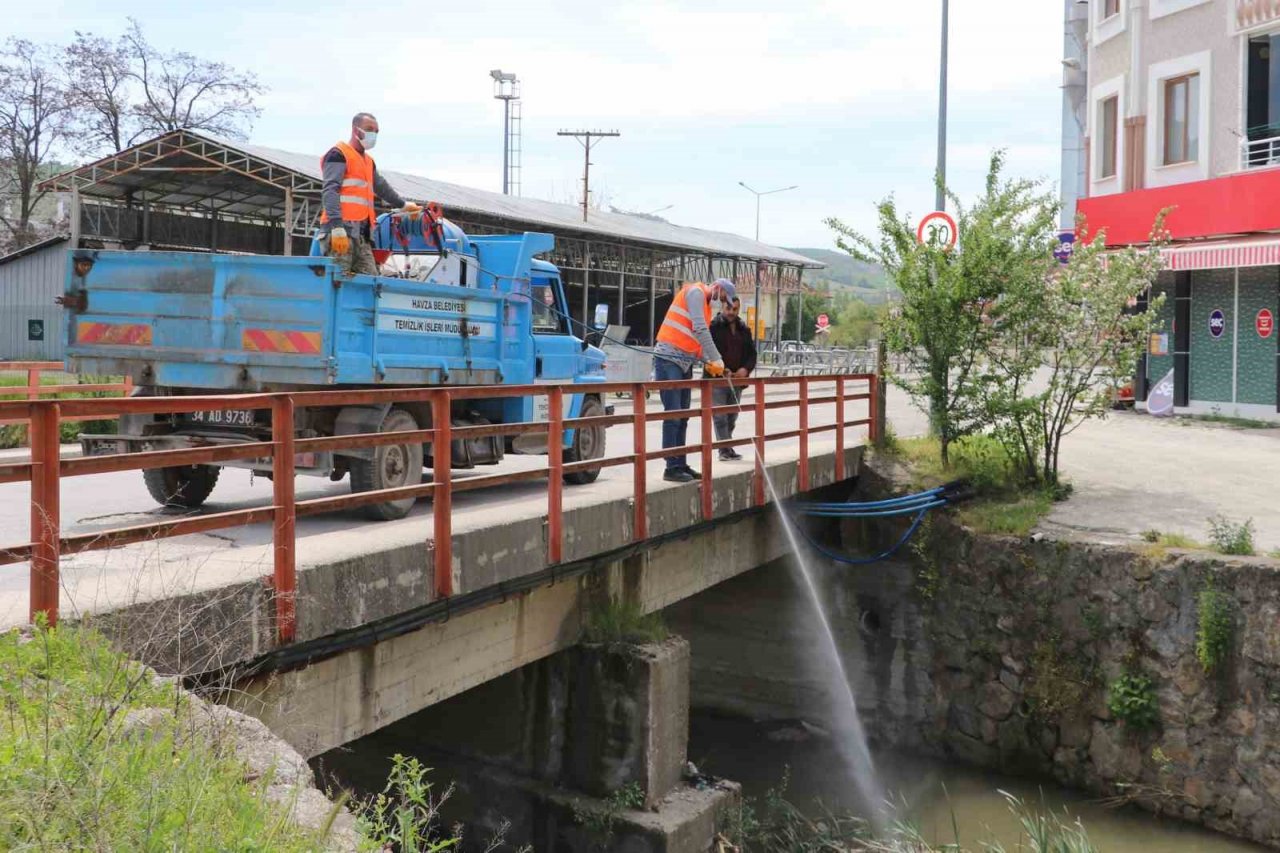 Tüm ilçeyi haşereye karşı ilaçladılar