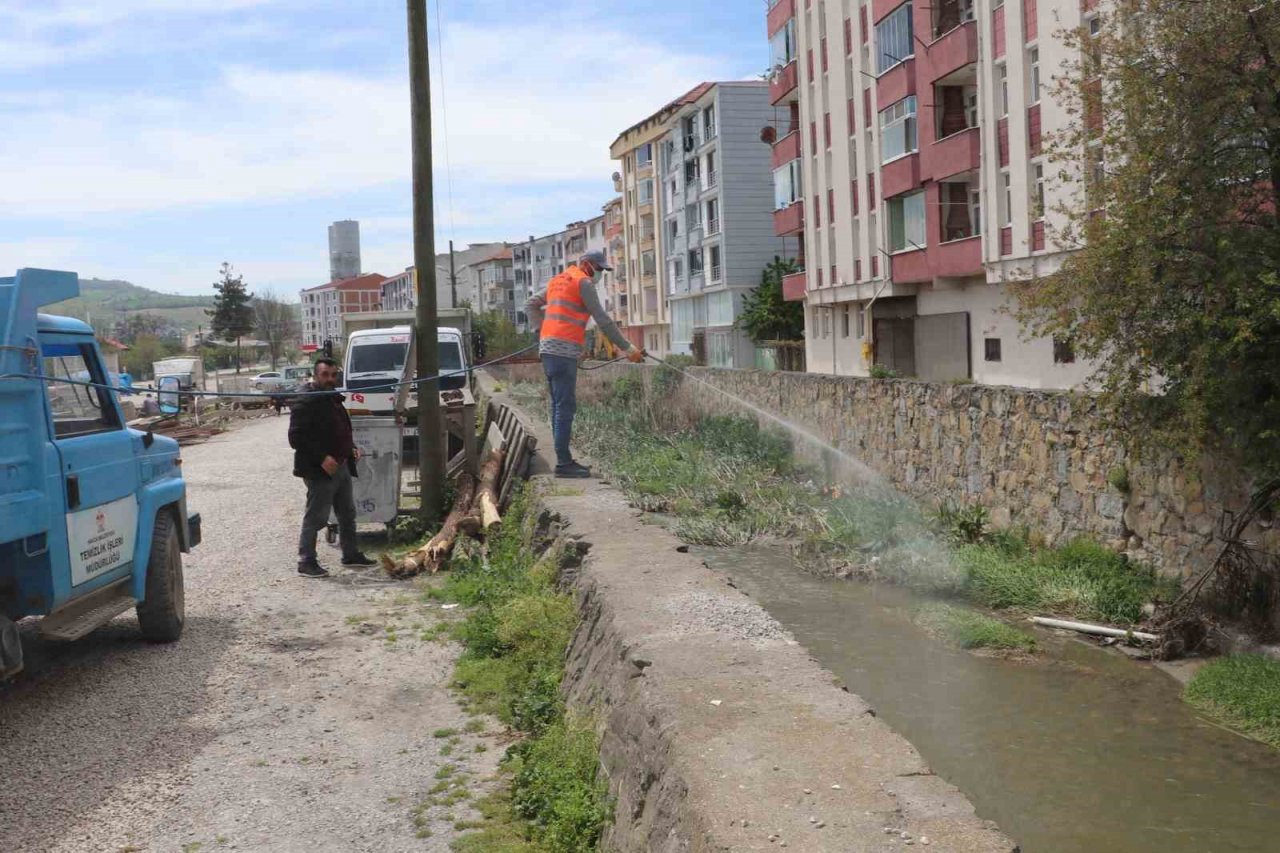 Tüm ilçeyi haşereye karşı ilaçladılar