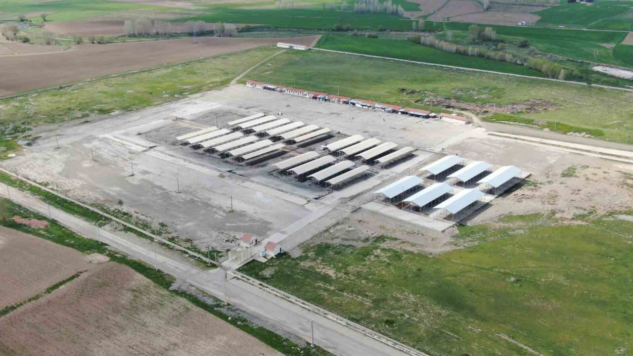 Türkiye’nin en büyük hayvan pazarı yeniden açılıyor