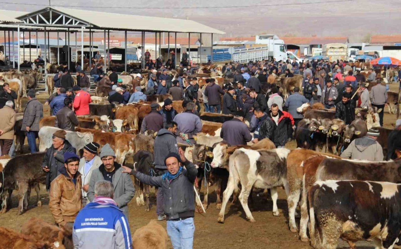 Türkiye’nin en büyük hayvan pazarı yeniden açılıyor