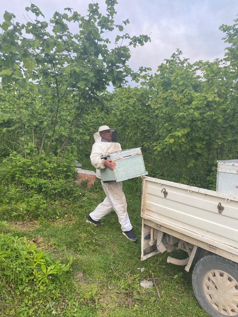 34 arı kovanını çalan hırsızlar kıskıvrak yakalandı