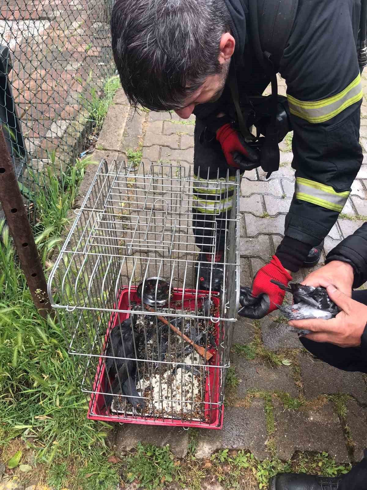 Yangında anne ve 2 çocuğu etkilendi