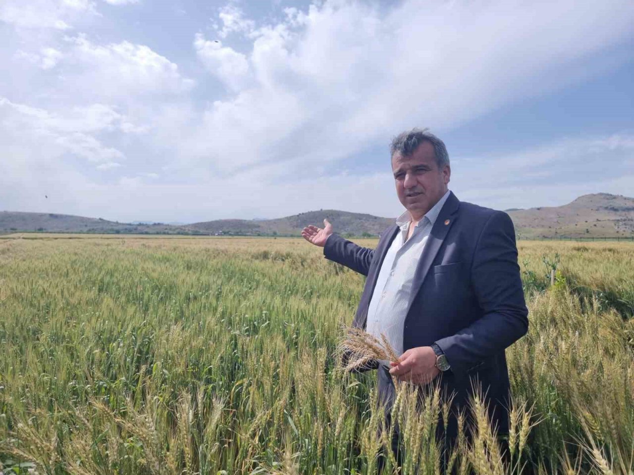 Çukurova’da yağışlarla yüzü gülen üretici hasat için gün sayıyor