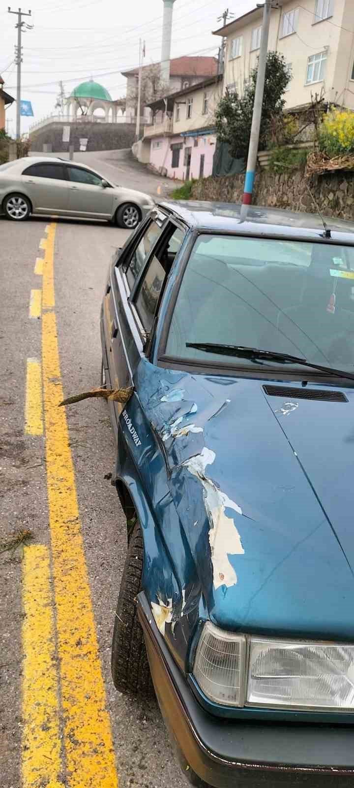 Açılan kapıyı kapatmak isterken otomobili evin bahçesine devrildi