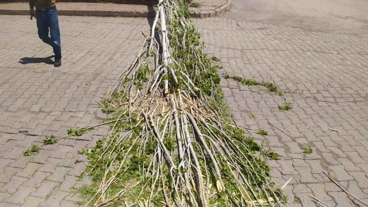 Sivas’ta kuvvetli rüzgar çatıyı yerinden söktü