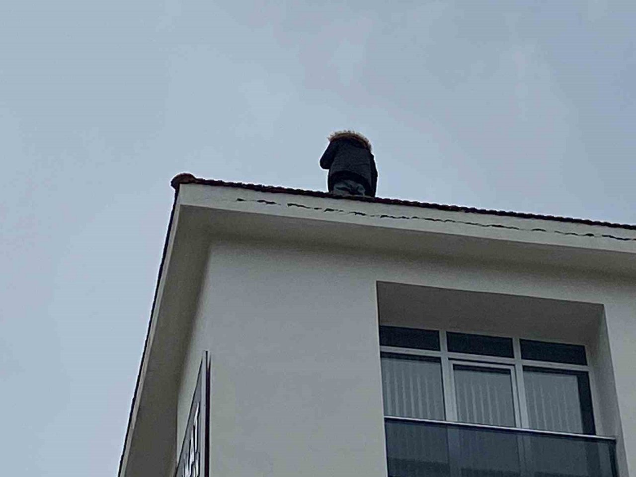 Çatıya çıkıp ekiplere zor anlar yaşattı, iki saat sonunda ikna edilebildi