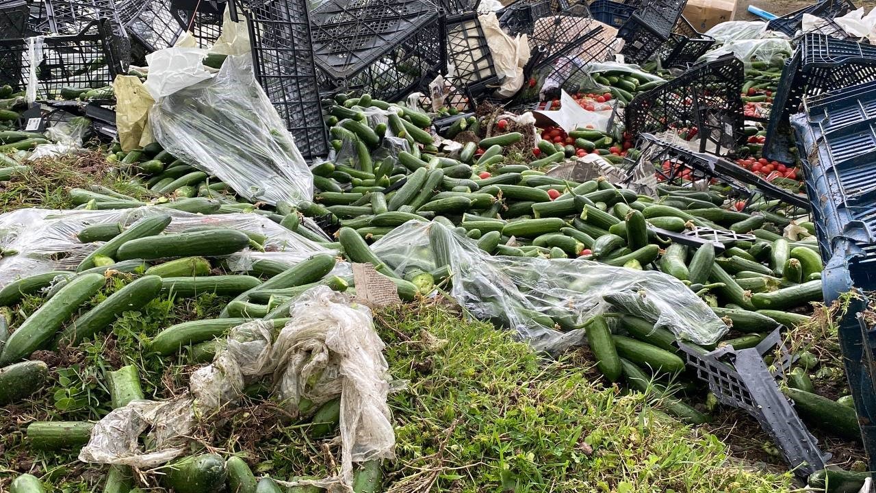 D-100’de tır devrildi, sebze kasaları yola saçıldı: 1 yaralı