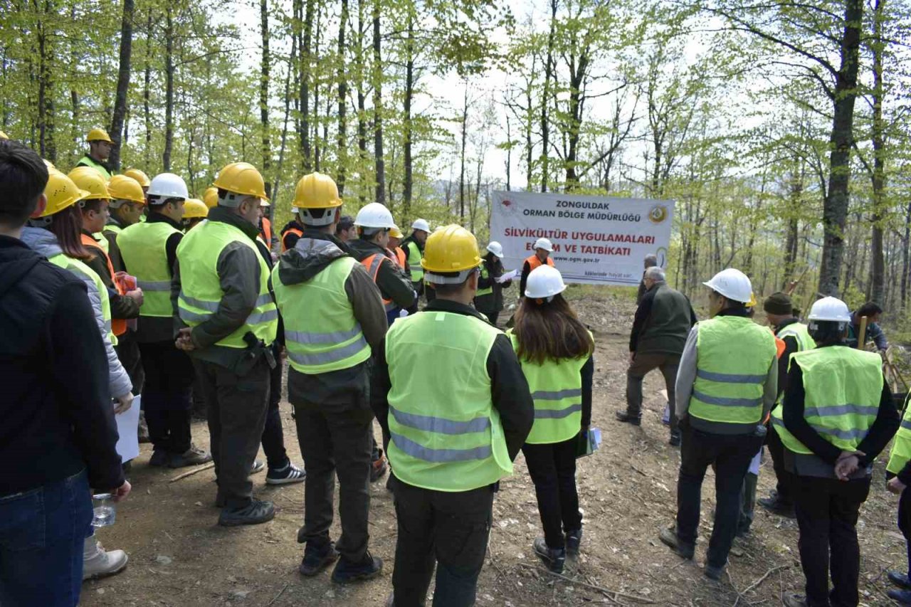 Orman değerlerini artırmak yerinde sürekli eğitimle sağlanıyor