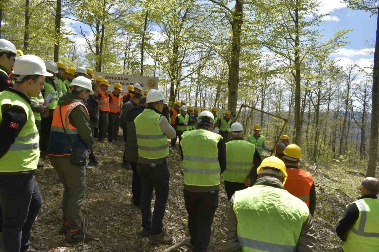Orman değerlerini artırmak yerinde sürekli eğitimle sağlanıyor