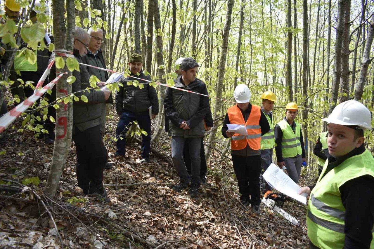 Orman değerlerini artırmak yerinde sürekli eğitimle sağlanıyor