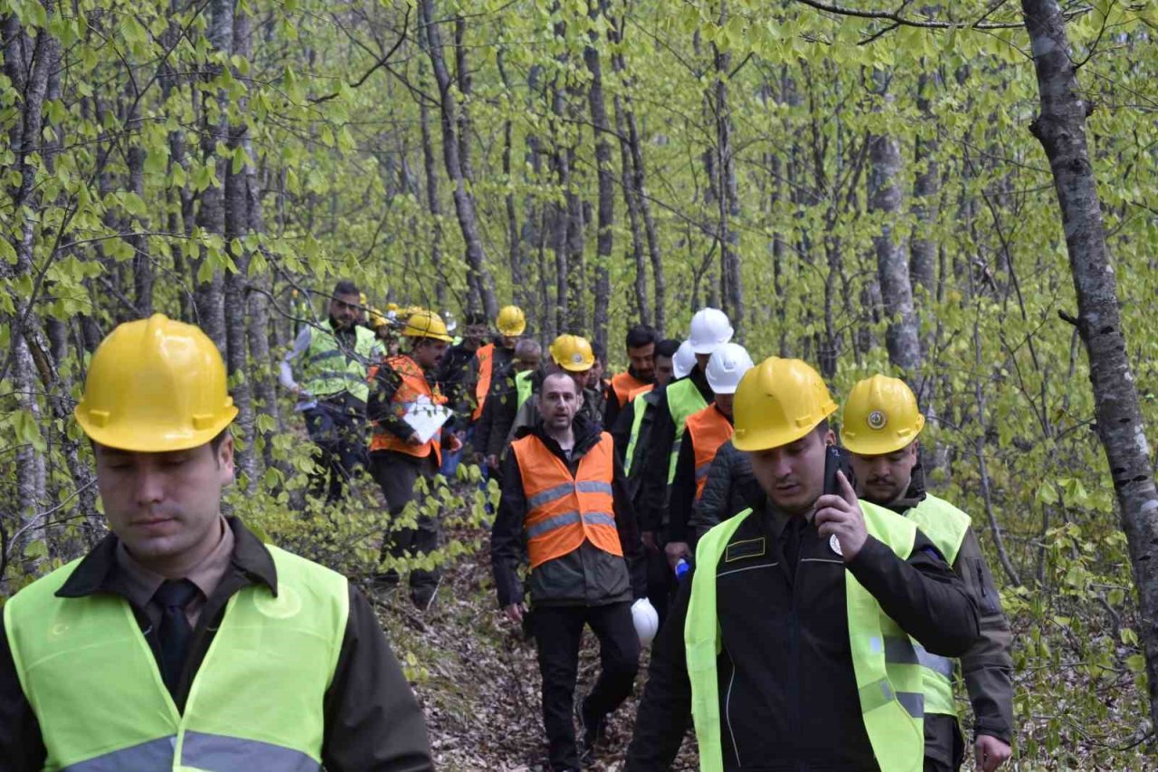 Orman değerlerini artırmak yerinde sürekli eğitimle sağlanıyor