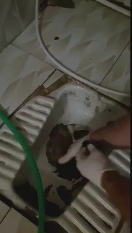 Yakalanmamak için bunu bile yapmışlar: Tuvalet pisliğine uyuşturucu saklamışlar