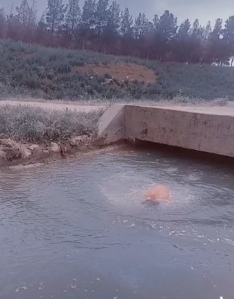 TikTok videosu çekmek için atladığı su kanalından cansız bedeni çıkartıldı