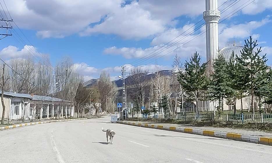 Kandilli’yi en son ne zaman gördünüz?