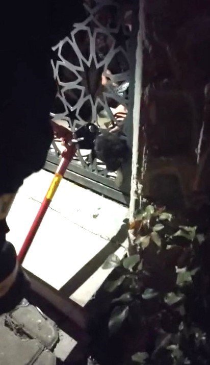 Bahçe kapısına sıkışan yavru köpek işte böyle kurtarıldı