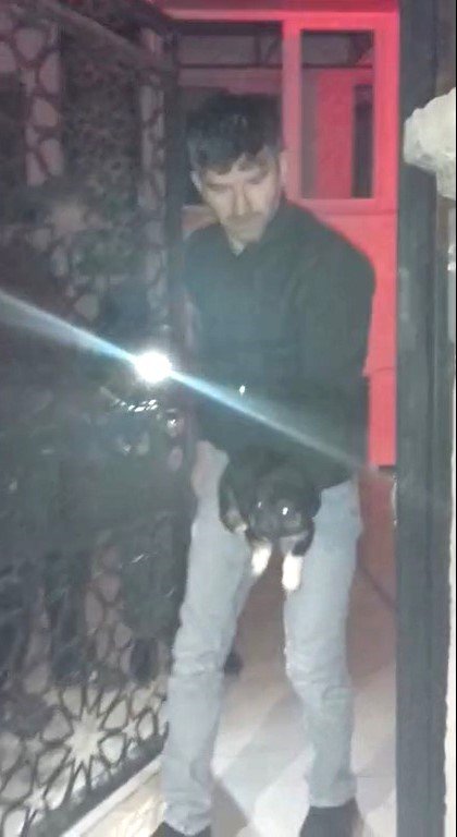Bahçe kapısına sıkışan yavru köpek işte böyle kurtarıldı